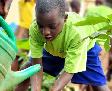 d49711ee-0692-48e2-b5ca-4b4a565d90af